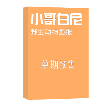 小哥白尼野生动物画报 杂志订阅 2018年8月号单期预订 杂志铺 pdf epub mobi 电子书 下载