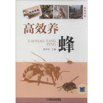 高效养蜂 pdf epub mobi 电子书 下载