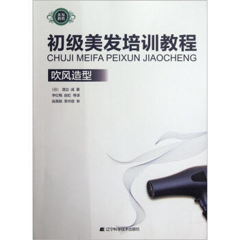 初级美发培训教程：吹风造型 pdf epub mobi 电子书 下载