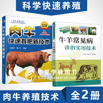 养牛技术大全 肉牛养殖技术书籍 牛羊常见病诊治实用技术 2本套装 养牛书籍 pdf epub mobi 电子书 下载