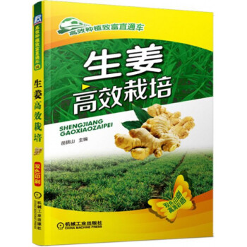 生姜栽培生姜种植书籍：生姜高效栽培(高效种植致富直通车 pdf epub mobi 电子书 下载