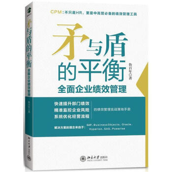 矛與盾的平衡：全麵企業績效管理 pdf epub mobi 電子書 下載