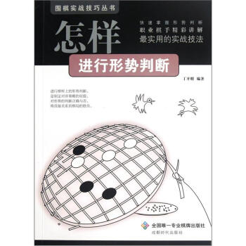 怎样进行形势判断 pdf epub mobi 电子书 下载