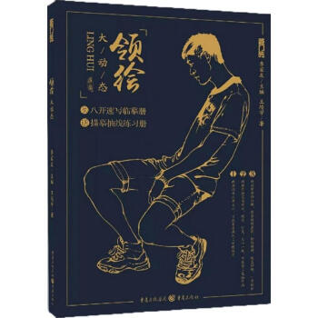 领绘大动态 pdf epub mobi 电子书 下载