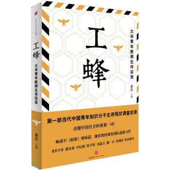 工蜂：大学青年教师生存实录 pdf epub mobi 电子书 下载
