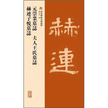 元崇業墓誌·夫人王氏墓誌·赫連子悅墓誌