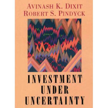 Investment Under Uncertainty pdf epub mobi 電子書 下載