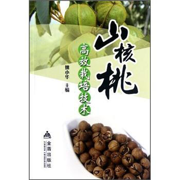 山核桃高效栽培技术