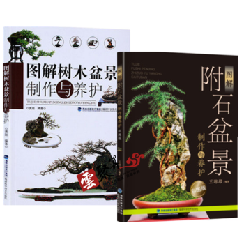 图解附石盆景制作与养护+图解树木盆景制作与养护 盆景入门教程书 盆景制作技巧 盆景造型制作 pdf epub mobi 电子书 下载