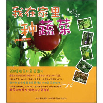 我在家里种蔬菜 pdf epub mobi 电子书 下载