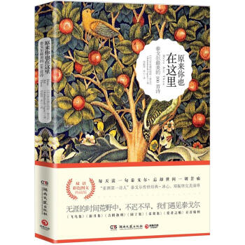 原来你也在这里：泰戈尔最美的100首诗（双语彩色图文典藏版） pdf epub mobi 电子书 下载