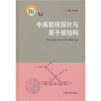 中高能核探針與原子核結構 pdf epub mobi 電子書 下載