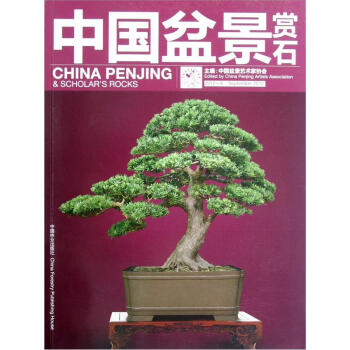 中国盆景赏石（2012-9） pdf epub mobi 电子书 下载