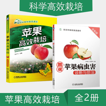 蘋果種植技術書籍 蘋果高效栽培+圖說蘋果病蟲害診斷與防治 蘋果樹種植技術 pdf epub mobi 電子書 下載