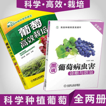 葡萄種植書籍+葡萄病蟲害防治技術書 葡萄種植書籍 葡萄病蟲害識彆與防治圖譜 pdf epub mobi 電子書 下載