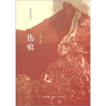 伤痕 pdf epub mobi 下载