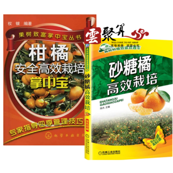砂糖橘高效栽培+柑橘安全高效栽培掌中宝 砂糖橘柑橘子树种植技术大全书籍 砂糖橘无公害高产栽