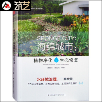 海绵城市:植物净化与生态修复 水体净化与景观升级版 河涌湖泊湿地雨水公园水生植物水环境治理