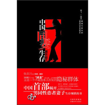 中國“同妻”生存調查報告