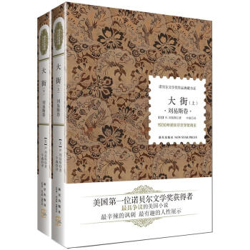 诺贝尔文学奖作品典藏书系：大街 刘易斯卷（套装上下册） pdf epub mobi 电子书 下载