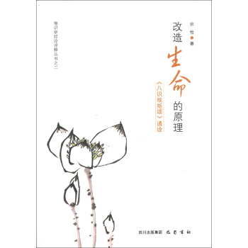 唯識學經論詮釋叢書·改造生命的原理：《八識規矩頌》通詮 pdf epub mobi 電子書 下載
