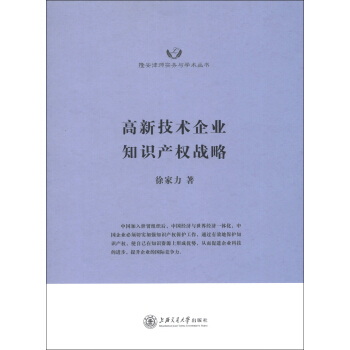 隆安律师实务与学术丛书：高新技术企业知识产权战略 pdf epub mobi 电子书 下载