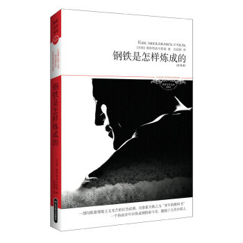 世界文學文庫059：鋼鐵是怎樣煉成的（插圖全譯本） pdf epub mobi 電子書 下載