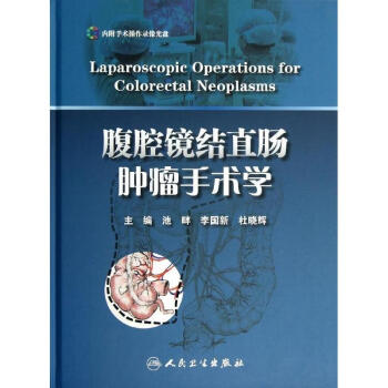 腹腔镜结直肠肿瘤手术学 pdf epub mobi 电子书 下载