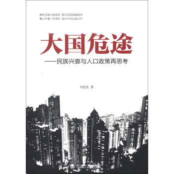 大國危途：民族興衰與人口政策再思考 pdf epub mobi 電子書 下載