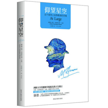 仰望星空：這個星球上站得最高的靈魂 pdf epub mobi 電子書 下載