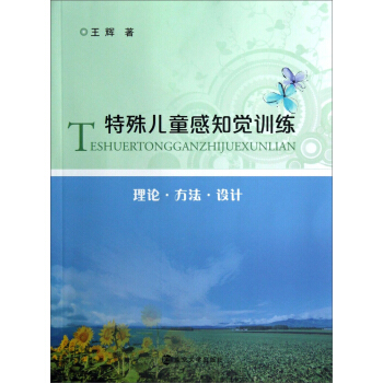 特殊儿童感知觉训练 pdf epub mobi 电子书 下载