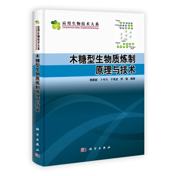 木糖型生物质炼制原理与技术 pdf epub mobi 电子书 下载