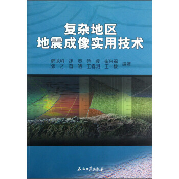 复杂地区地震成像实用技术