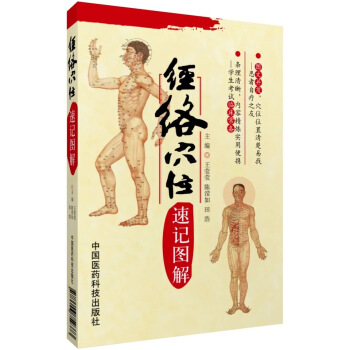 經絡穴位速記圖解