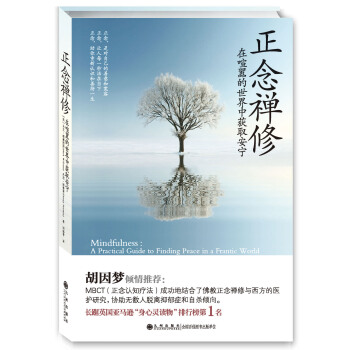 正念禪修 pdf epub mobi 電子書 下載
