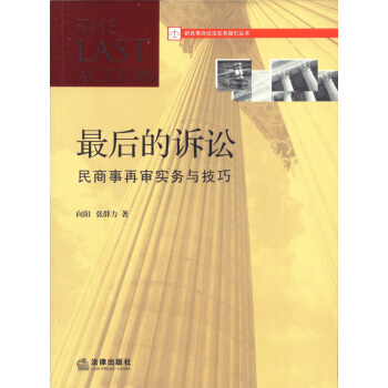 新民事诉讼法实务指引丛书：最后的诉讼·民商事再审实务与技巧 pdf epub mobi 电子书 下载