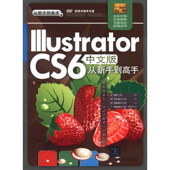 從新手到高手:Illustrator CS6中文版從新手到高手(附DVD-ROM光盤1張)