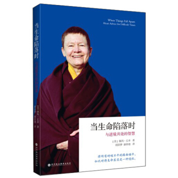 当生命陷落时:与逆境共处的智慧