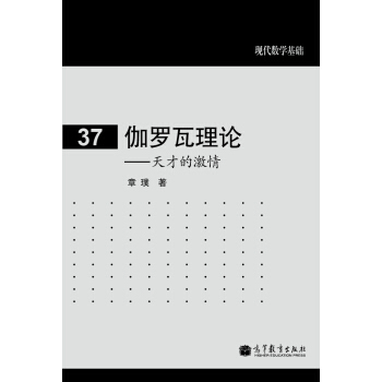 现代数学基础：伽罗瓦理论 天才的激情 pdf epub mobi 下载