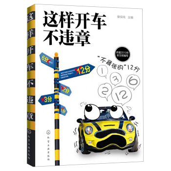 这样开车不违章 pdf epub mobi 电子书 下载
