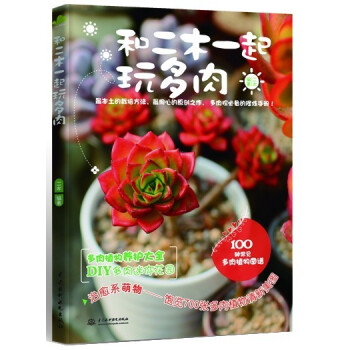 和二木一起玩多肉 pdf epub mobi 电子书 下载