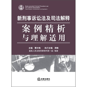 新刑事诉讼法及司法解释：案例精析与理解适用 pdf epub mobi 电子书 下载