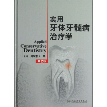 实用牙体牙髓病治疗学（第2版） pdf epub mobi 电子书 下载