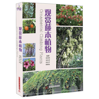 观赏藤本植物 pdf epub mobi 电子书 下载