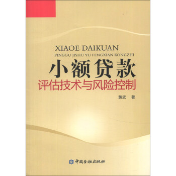 小额贷款评估技术与风险控制 pdf epub mobi 电子书 下载