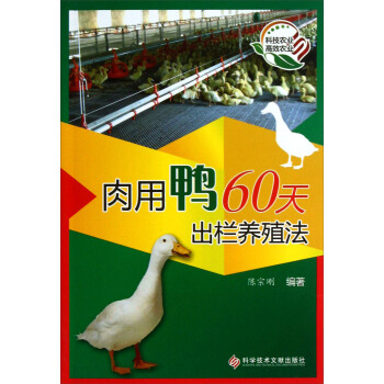 肉用鴨60天齣欄養殖法