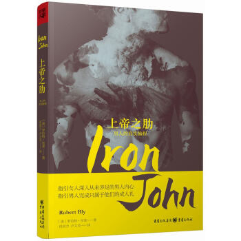 上帝之肋 pdf epub mobi 下载