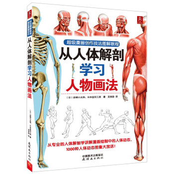 超級漫畫創作技法圖解教程：從人體解剖學習人物畫法 pdf epub mobi 電子書 下載