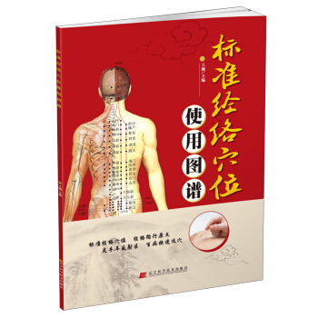 標準經絡穴位使用圖譜