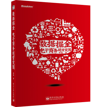 数据掘金 电子商务运营突围 pdf epub mobi 电子书 下载